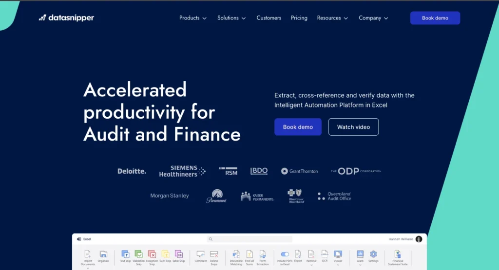 10 Best AI Tools for Finance in 2025 - Datasnipper