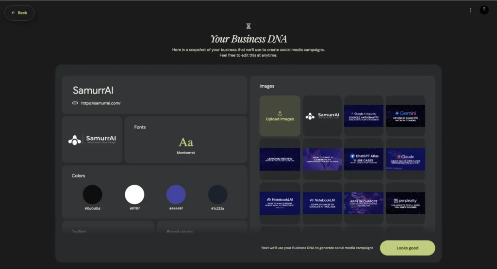 Pomelli AI collects all the Brand Information